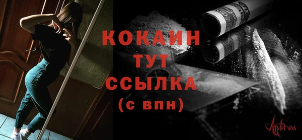 спиды Тайга