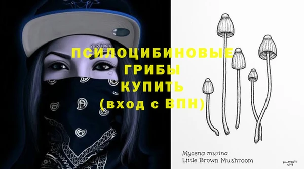 спиды Алзамай