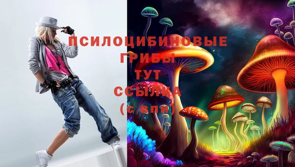 спиды Алзамай